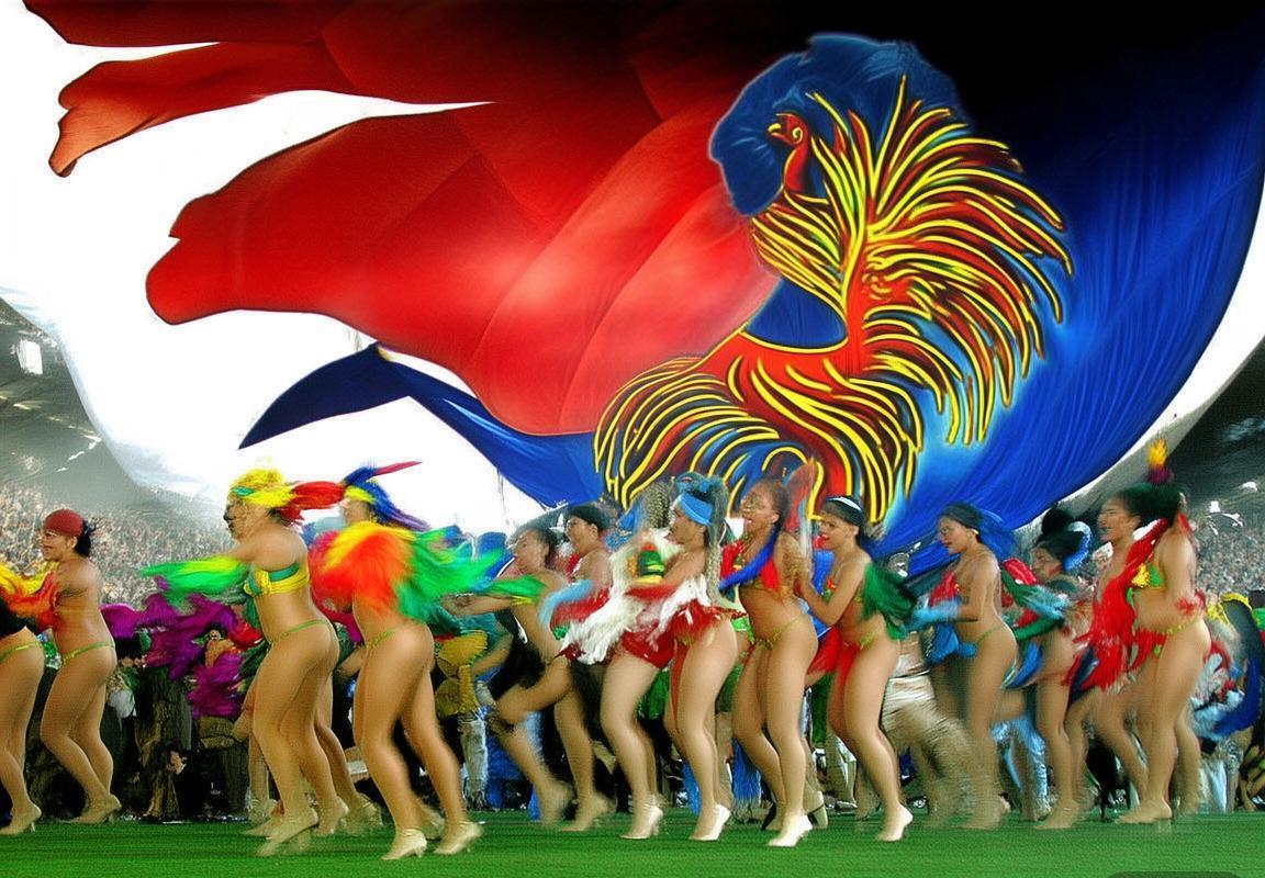 2006世界杯：巴西法国巅峰对决，齐达内点球绝杀罗纳尔多(图2)